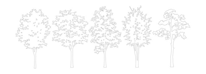 Minimalist architectural tree outlines, set of 5 thin line vector trees for landscape design, hand drawn deciduous tree sketches for site plans © M