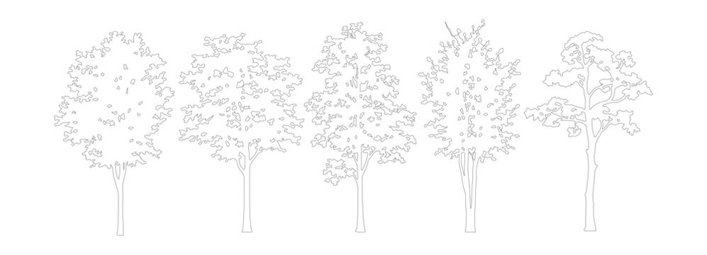 Minimalist architectural tree outlines, set of 5 thin line vector trees for landscape design, hand drawn deciduous tree sketches for site plans