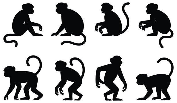 Monkey silhouettes in various poses silhouette