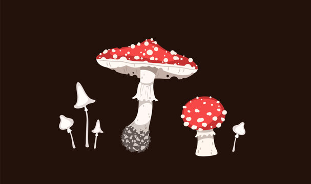 Amanita muscaria and poisonous mushrooms vector illustration. Red fly agaric background for web design and graphics. Flat style autumn fungi elements on dark backdrop. Autumn fall season elements