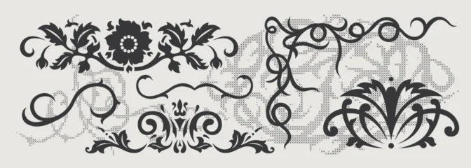 Vector design element of classic baroque ornaments with elegant scrollwork, medieval details. © softulka