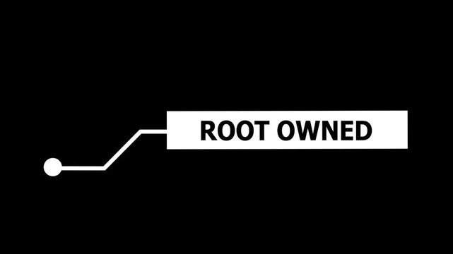 Root owned lower third overlay with minimalist modern typography and clean geometric callout animation for corporate tech presentations and digital software tutorials