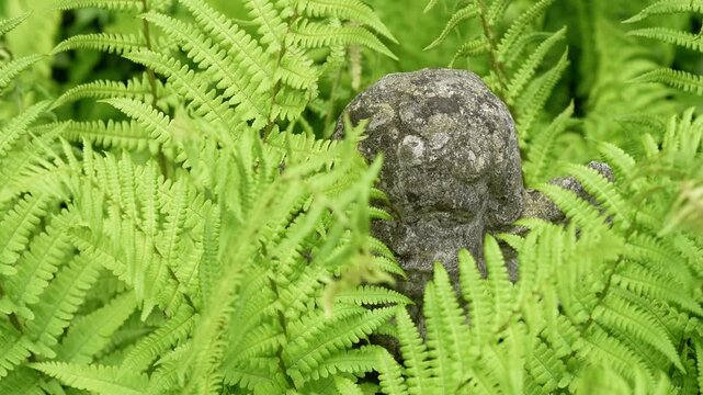 Skulptur im Farn