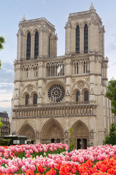 facade of Notre Dame cathedral and river Seine at spting day with flowers, Paris, France
