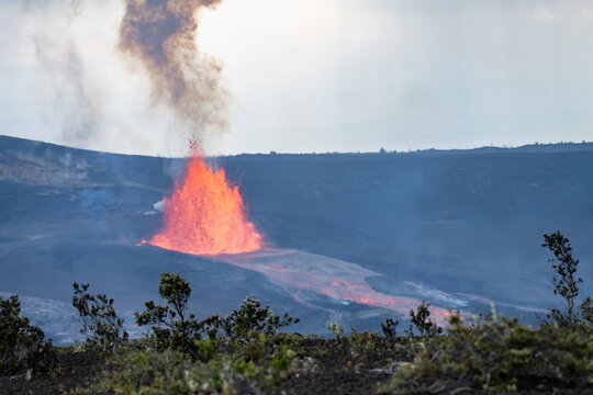 Episode 46 of lava fountaining in Halemaʻumaʻu Crater at the summit of Kīlauea ( shield volcano ). lava flow . Hawaiʻi Volcanoes National Park. Metrosideros polymorpha, the ʻōhiʻa lehua 