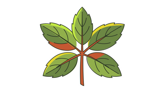 Vibrant mentha leaf bunch illustration for sophisticated mixology accents, featuring modifiable paths and variable outline thickness for professional culinary graphic design and branding use.