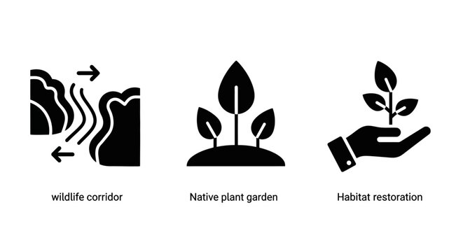 Conservation Icons: Wildlife Corridor, Native Plant Garden, Habitat Restoration