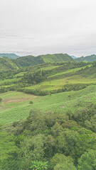 Obraz premium Authentic coffee and panela farming landscape in the Colombian Andes