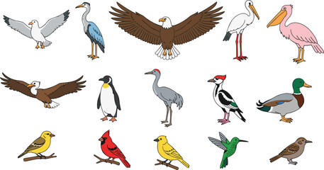 Obraz premium Cartoon bird icons with seagull, eagle, penguin, hummingbird, cardinal, and sparrow representing avian diversity vector illustration