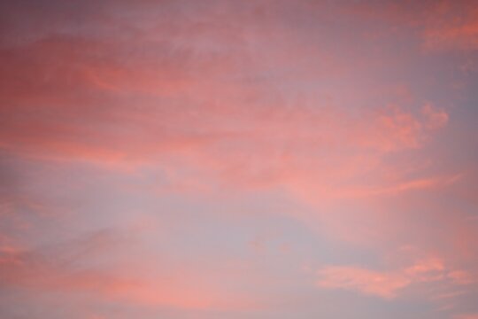 Natural grey-orange background of medium brightness.                               
