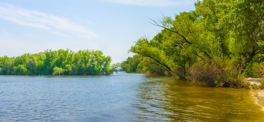 calm river with forest on coast under a blue cloudy sky © Yuriy Kulik