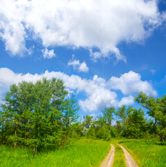 ground road through the green forest glade under blue cloudy sky © Yuriy Kulik