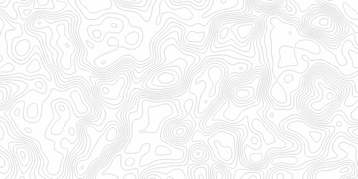 White topography map line geometric grid outline curve counter map wavy design. topography relief discovery area black spiral line space landscape texture background.