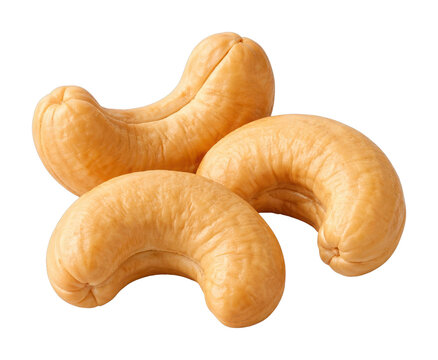 PNG Fresh cashews on white background.