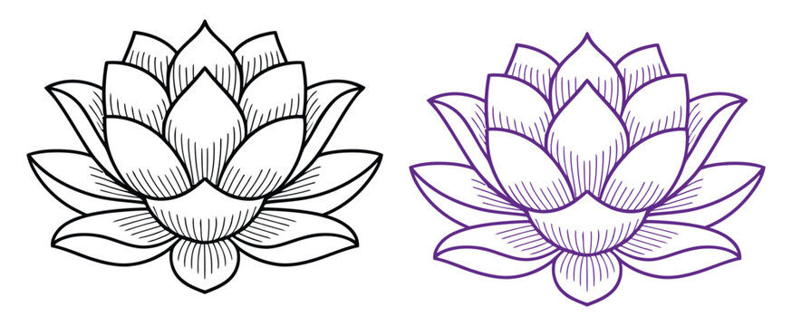 Vintage engraved style lotus flower illustration in black and purple