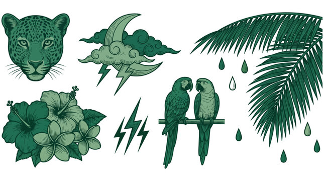 Vector Collection of Tropical Nature Elements with Leopard, Parrots, Palm Leaves, Hibiscus Flowers, and Mystic Weather Designs