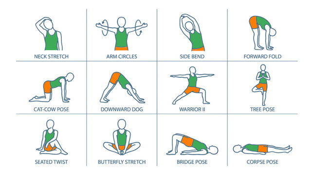 Vector yoga poses illustrations for fitness and wellness with various body positions