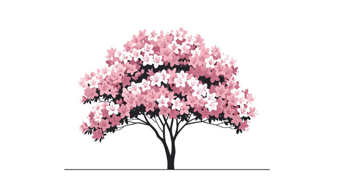 Dense pink and white azalea tree in full bloom creates a vibrant and beautiful floral display against a plain white background.