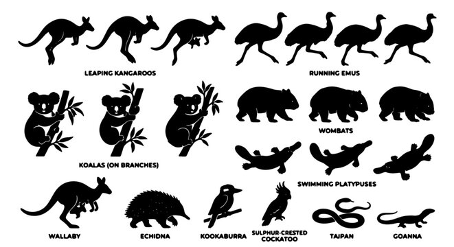 Australian Wildlife Silhouette Collection: Kangaroos, Koalas, Emus, Wombats, Platypuses, Echidnas, Kookaburras, Taipans, Goannas, Wallabies - Vector Icons for Nature and Fauna Graphics
