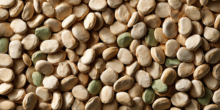 Dried Fava Beans and Seeds Close-Up Top View