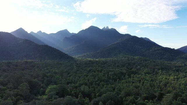 video gunung yang indah serta hutan yang masih hijau