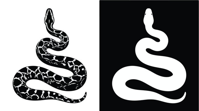 Black and white python illustrations on contrasting backgrounds
