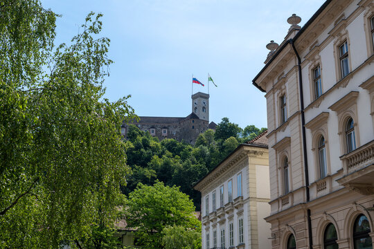 Ljubljana castle tower rising above historic buildings and green trees on a bright sunny day with elegant European city architecture