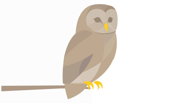 Creative and colorful geomeric vector illustration ofa barn owl isolated on a wite background, featuring  minimalist low-poly desig with earthy tones for natre and wildlife projects.