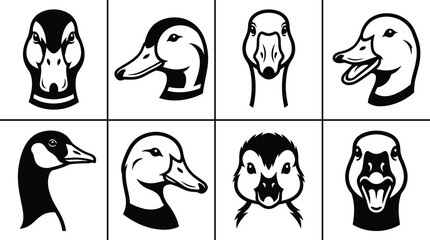 Collection of eight black and white duck and goose head in a grid layout © Sifat