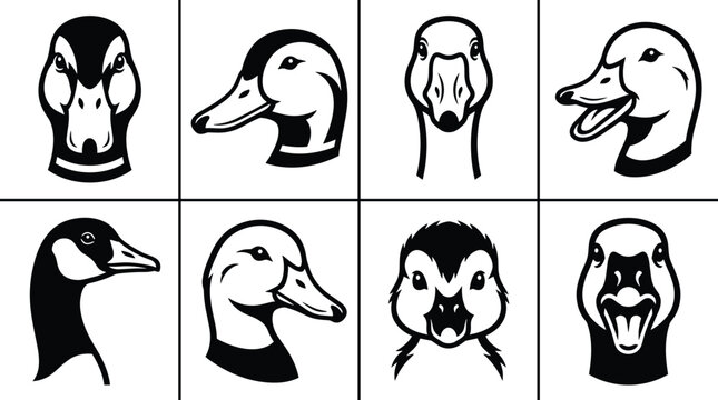 Collection of eight black and white duck and goose head in a grid layout