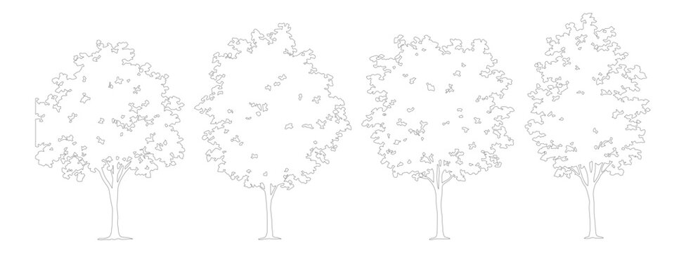 Minimalist tree line art vector set, four deciduous tree silhouettes with thin gray outlines, architectural landscape plant symbols for site plans