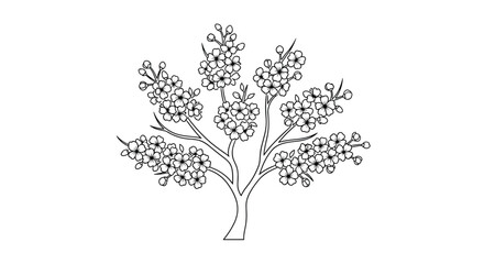 Fototapeta premium Detailed black and white line art illustration of a flowering fruit tree with many small blossoms on white background.