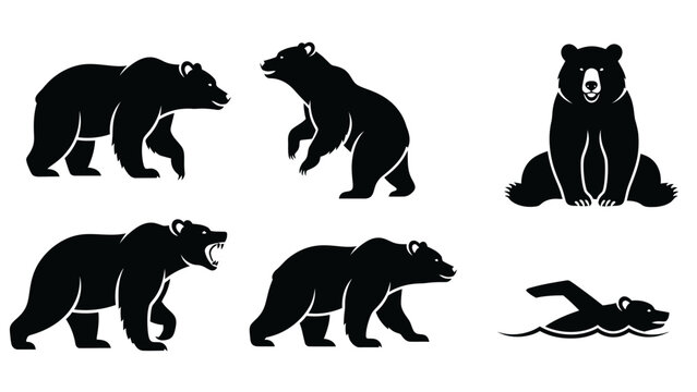 A striking compilation of bear illustrations in silhouette against a white backdrop design