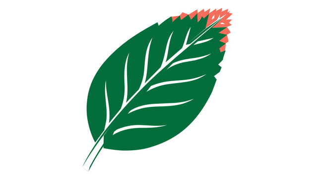 Creative colorful line vector icon illustration of a Sempervivum succulent leaf featuring a deep green body with white veins and a vibrant pink tip, isolated on a clean white background.