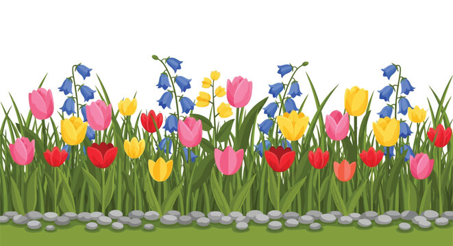 Colorful spring flower garden with tulips and bluebells growing behind pebble stone path border isolated on white background flat nature illustration art.