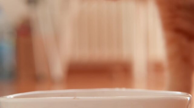 Close up of a curious cat sniffing a shallow bowl, capturing an intimate feeding moment, warm tones, domestic pet exploring scent before tasting