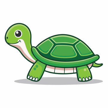 Cute cartoon green turtle illustration