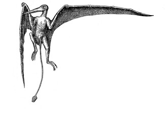 Pterodactyl illustration flying with outstretched wings on white background   © Ren