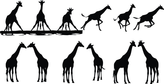 Giraffe Silhouette Icons Collection