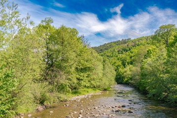Fototapeta premium Beautiful mountain river flowing through lush green forest hills landscape