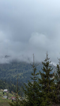 Misty mountain landscape with evergreen forest and scattered houses on a cloudy day