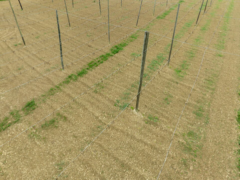 Aerial view of hop field trellises with wooden poles and wire structures over tilled soil in Aiglsbach, Bavaria, Germany.