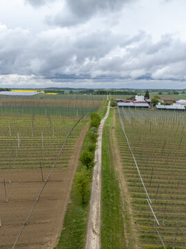 Aerial view of expansive hop gardens with tall trellises and a dirt road under an overcast sky in Aiglsbach, Bavaria, Germany.