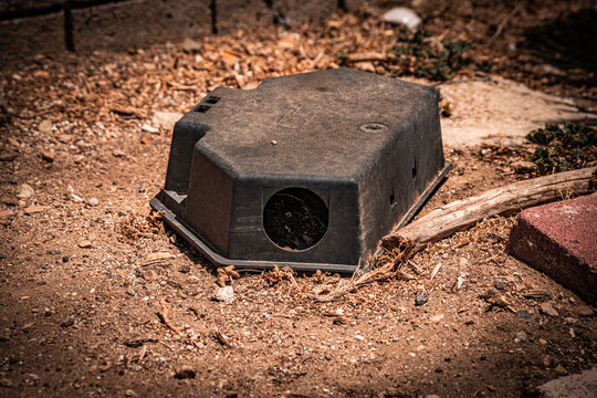 Outdoor rodent bait station placed on dry ground near brick and wood debris