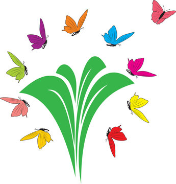 BUTINAGE DES PAPILLONS