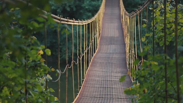 A long suspension footbridge made of metal mesh stretches across a river, surrounded by lush green trees and framed by soft foreground foliage.