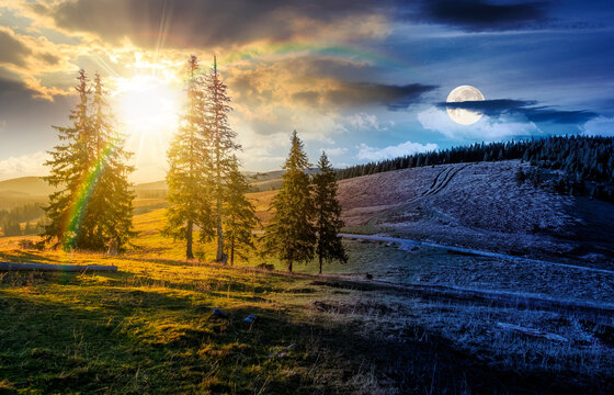 day meet night. hillside with coniferous forest on a meadow in mountain landscape on autumn equinox. sun and moon over wonderful view surrounded by spruce trees on the slope. transylvania wonderland