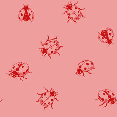 Ladybug, seamless vector pattern © aksol