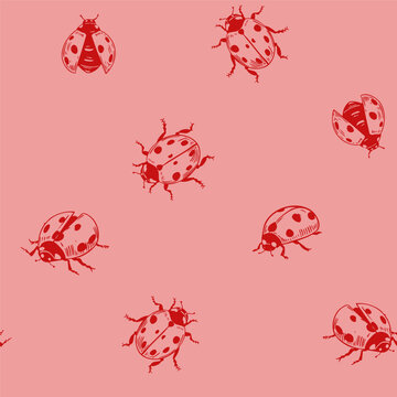 Ladybug, seamless vector pattern