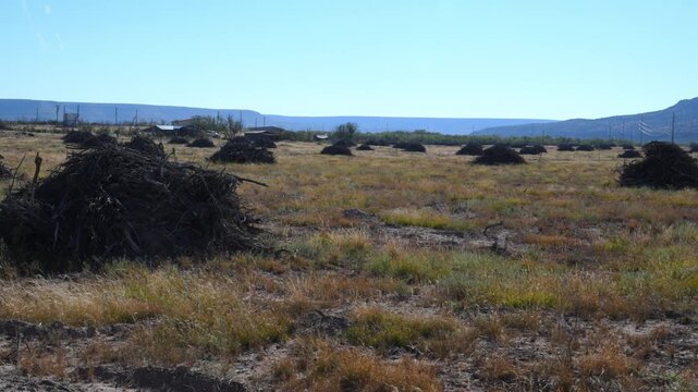 Texas. The landscape shows a land management project, such as one intended to improve habitat by removing encroaching vegetation